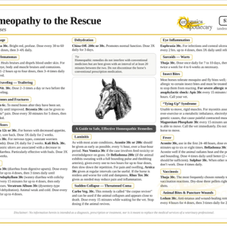 Homeopathy Guide For Horses - Laminated Chart