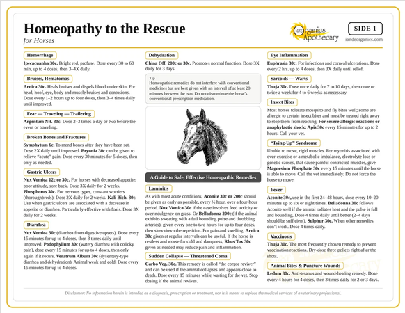 Homeopathy Guide For Horses - Laminated Chart
